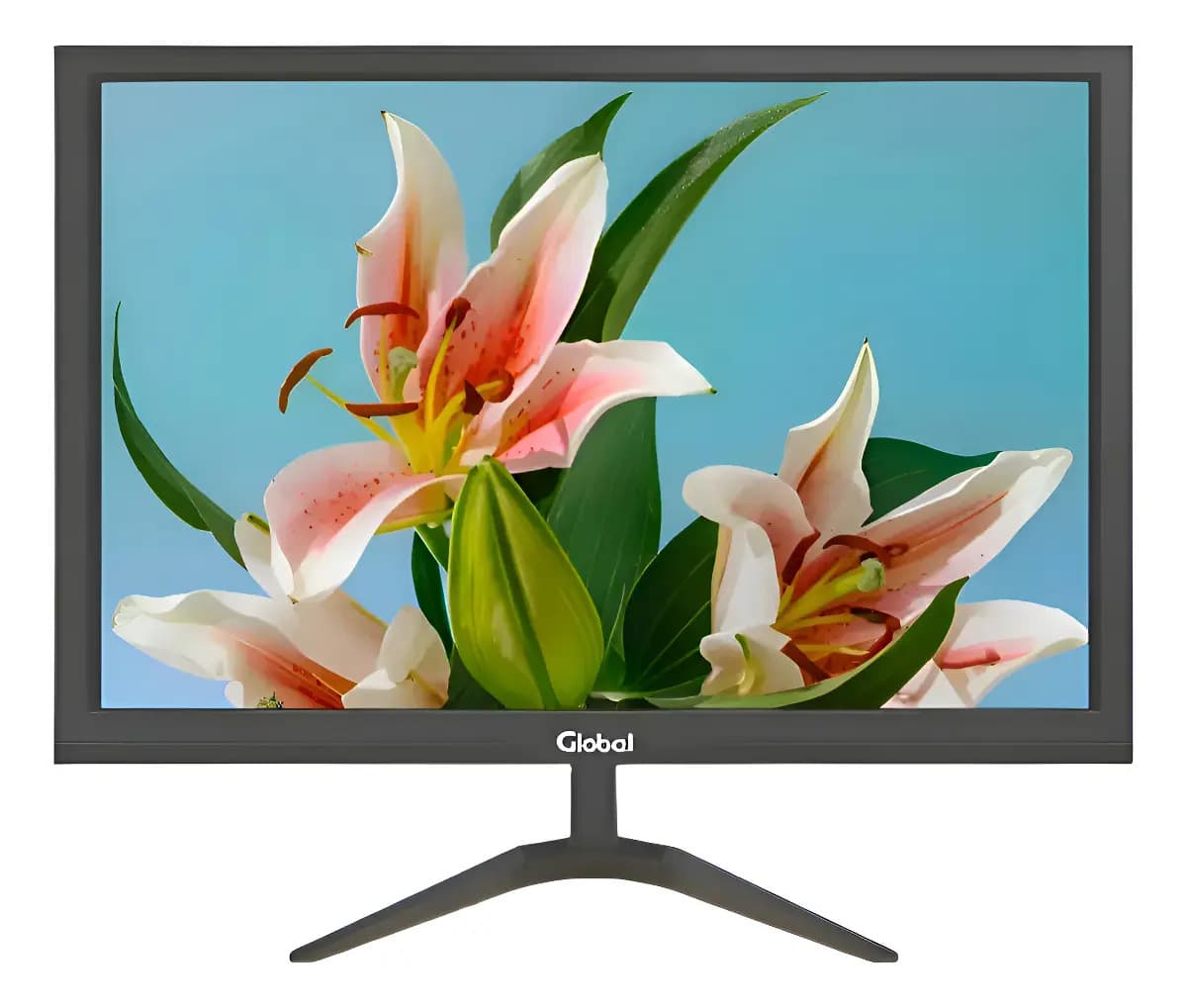 Monitor 19  Led Global Office Hd 1440x900 Hdmi Vga 60hz Tn Vesa Negro